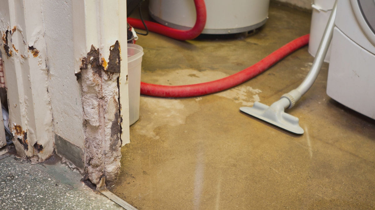 9 Things That You Can Do To Prevent A Leak or Mitigate Flood Damage In Your House