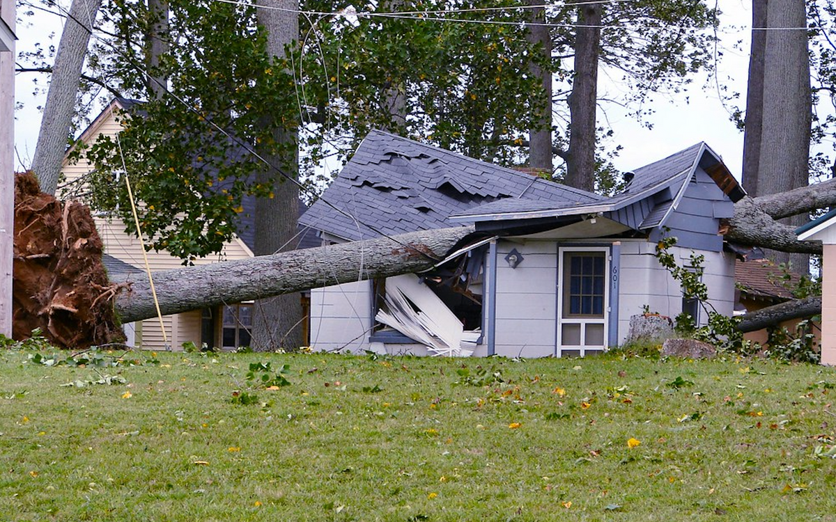 wind-damage